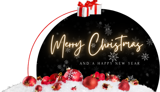 12 Days of Christmas